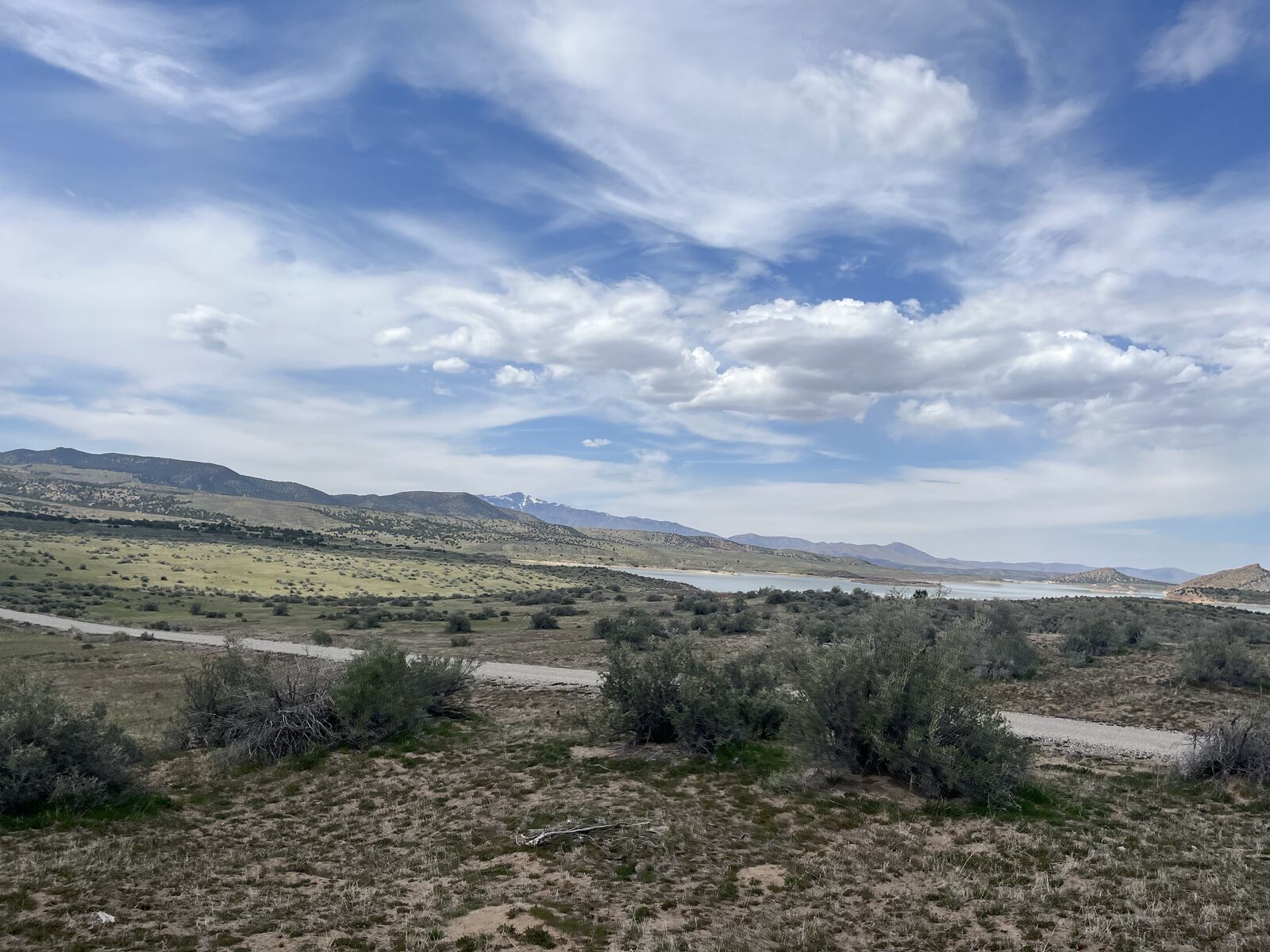 LAND FOR SALE AT AUCTION - YUBA NORTH