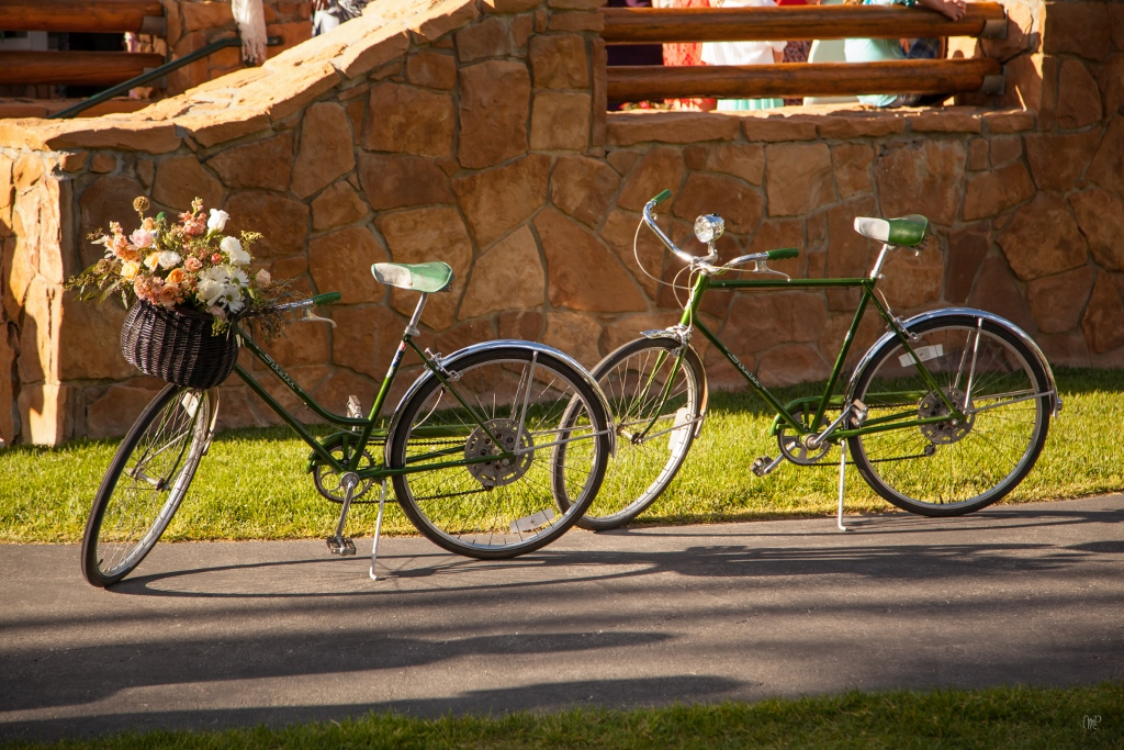 Classic Schwinn Collegiate Bikes