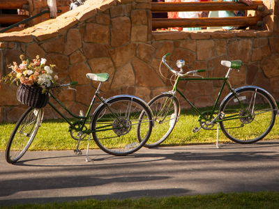 Classic Schwinn Collegiate Bikes