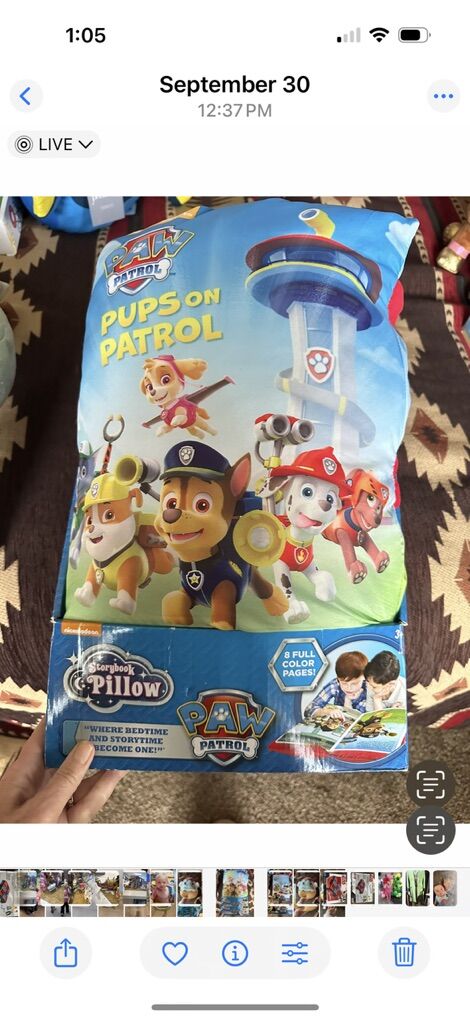 New In Box Paw Patrol Storybook Pillow