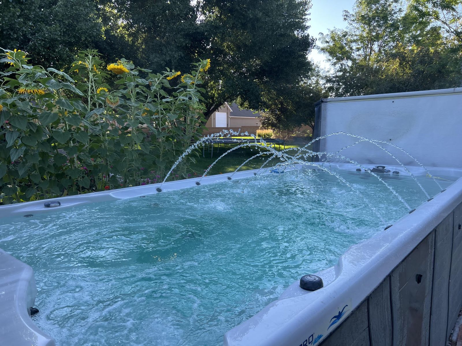 CalSpa Commander 1681 Swim Spa