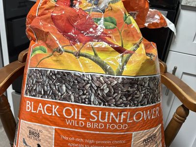 Bird seeds