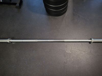 Rogue Echo Barbell - 45lbs Olympic