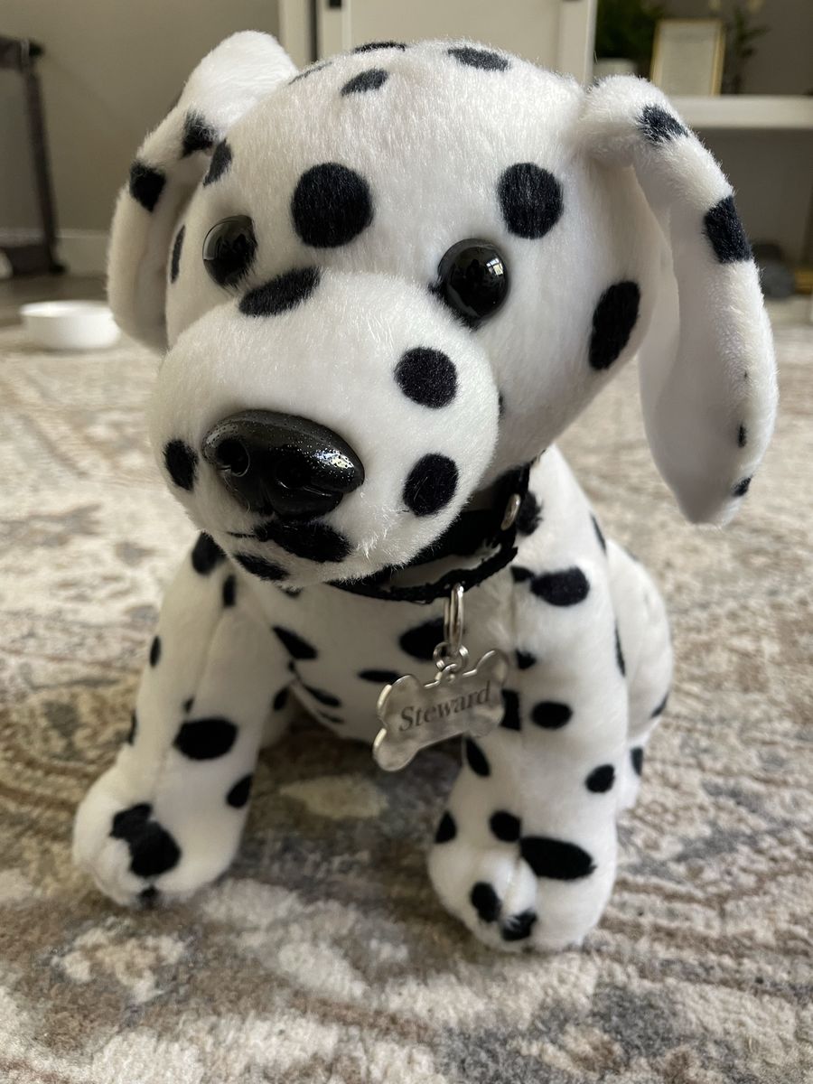 Adorable like new Dalmatian dog stuffed animal with Steward name and removable collar