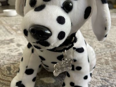 Adorable like new Dalmatian dog stuffed animal with Steward name and removable collar