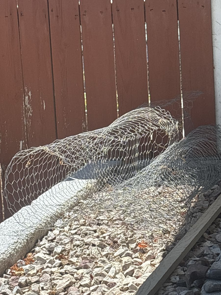 Chicken Wire / Poultry Netting scraps