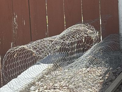 Chicken Wire / Poultry Netting scraps