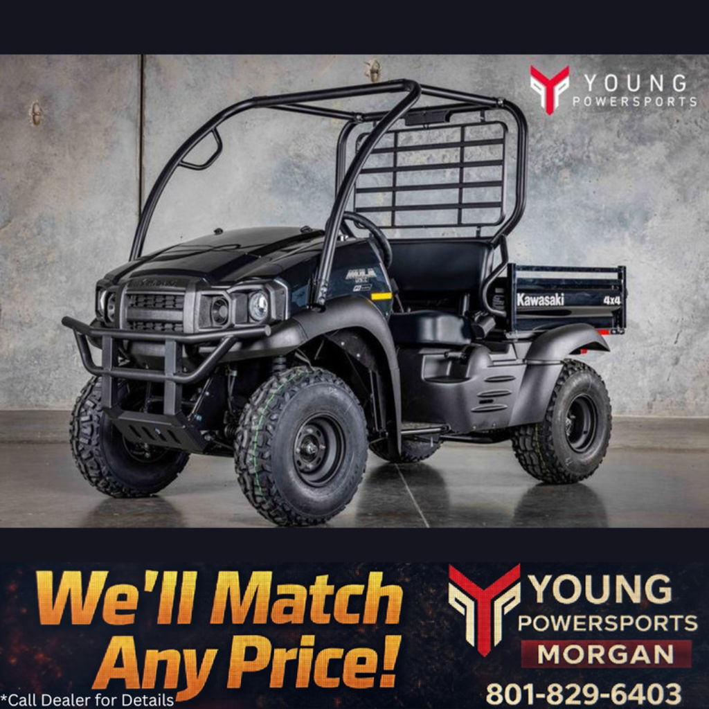 2026 Kawasaki Mule SX™ 4x4