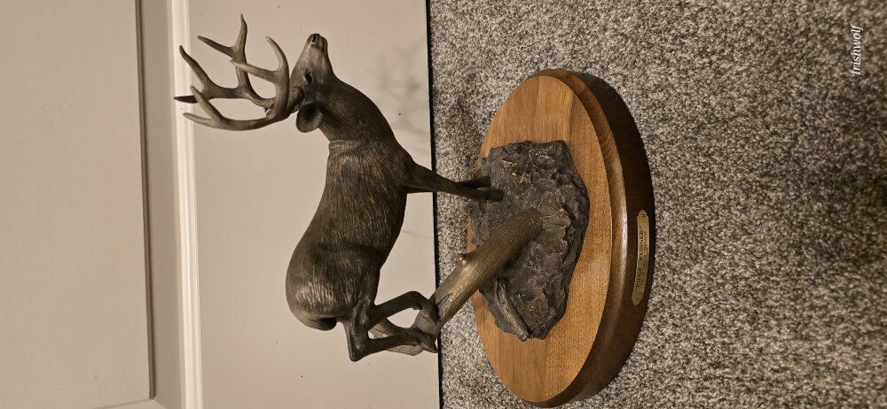 Ridge Runner by Brad Williams