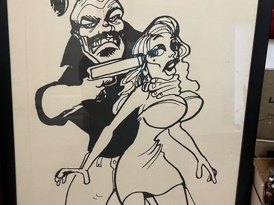 Professionally framed shooting target