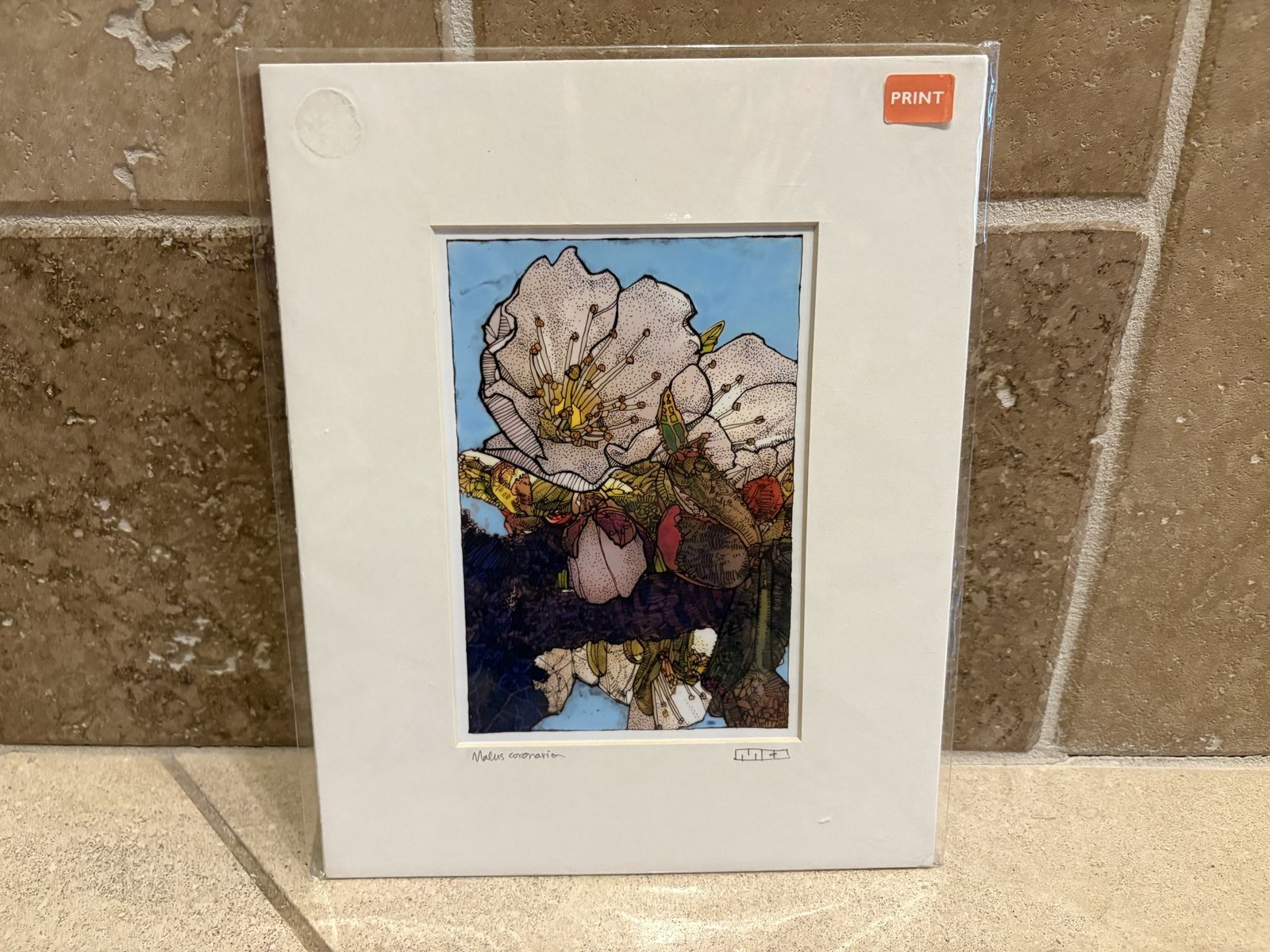 Malus Coronarius by Melissa Hughston Signed Matted Print