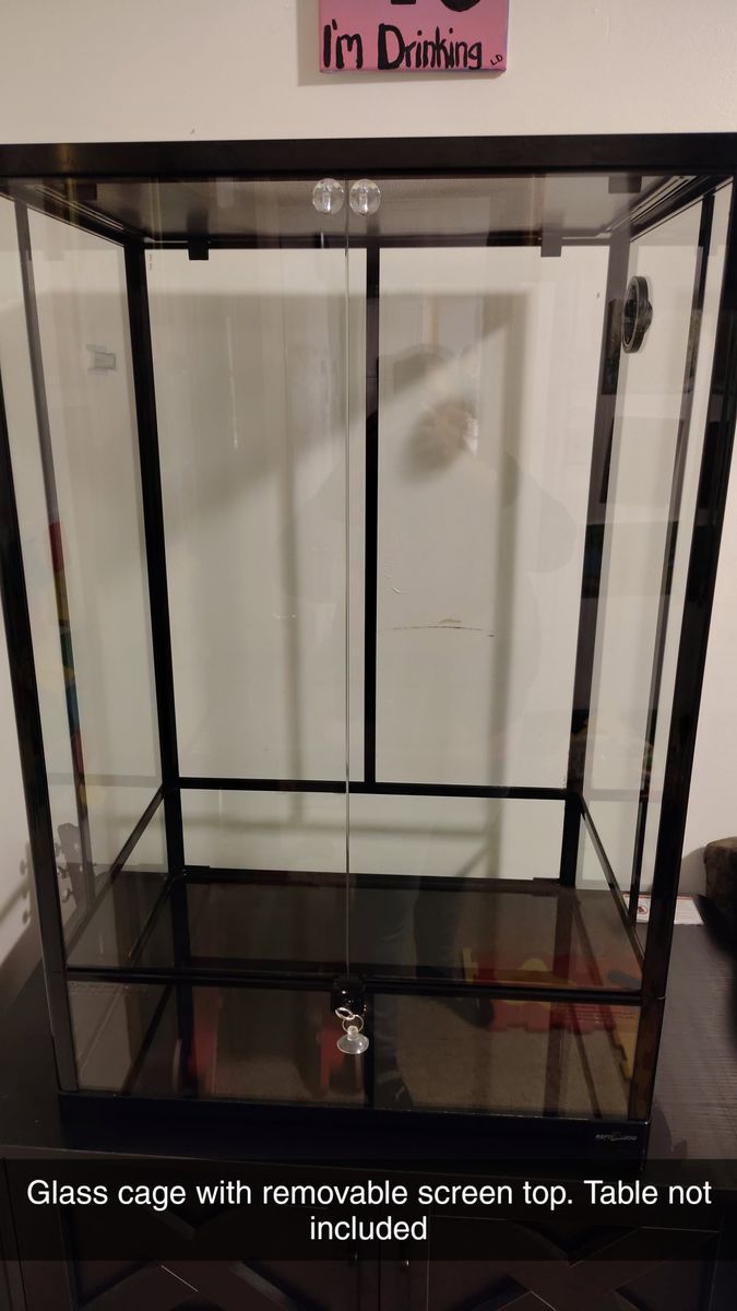 XLg Glass Chameleon Habitat