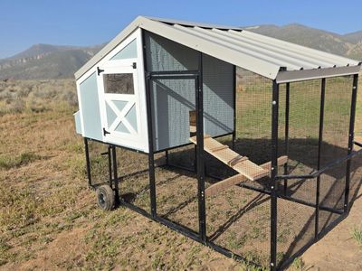 Heavy-Duty Chicken Coops