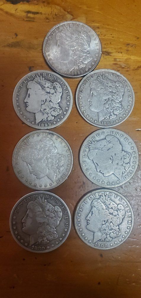 Morgan Silver Dollars 