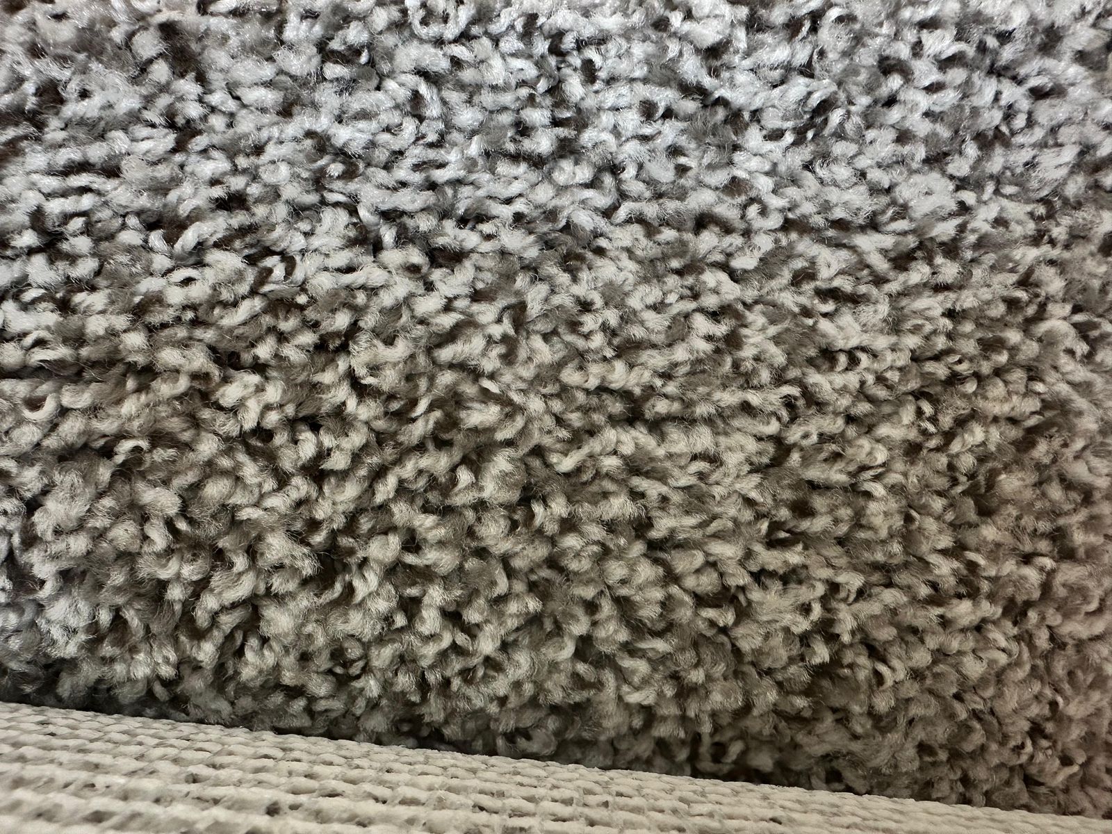 Carpet