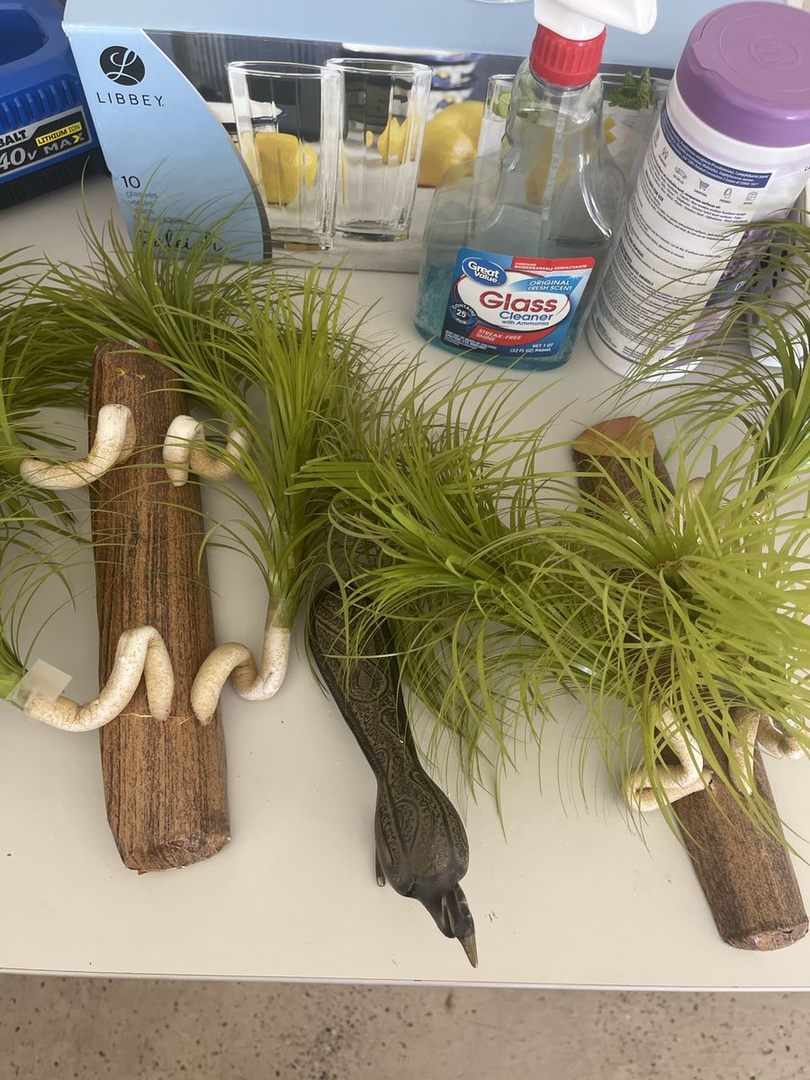 Artificial Faux Plants on Wooden Driftwood Bases with Metal Peacock Figurine