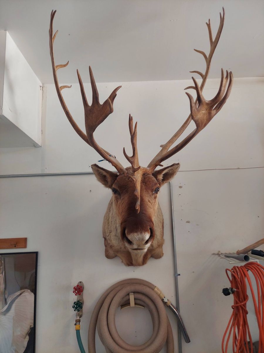 Main image 3