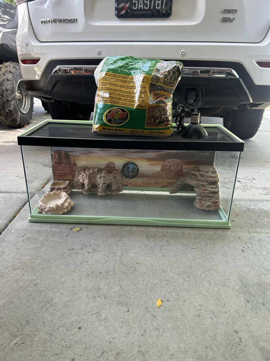 Reptile set up 