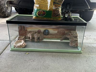 Reptile set up