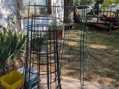 3 Tomato Cages - 36" tall