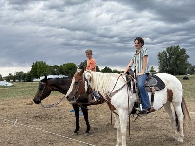 Paint horse