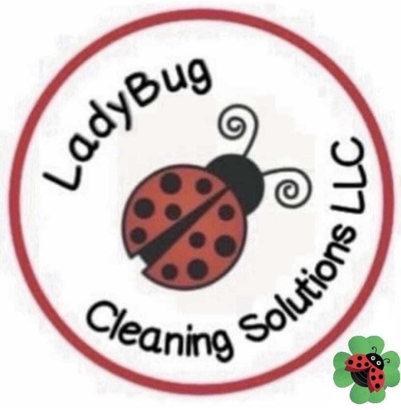 Ladybug Cleaning Solutions LLC