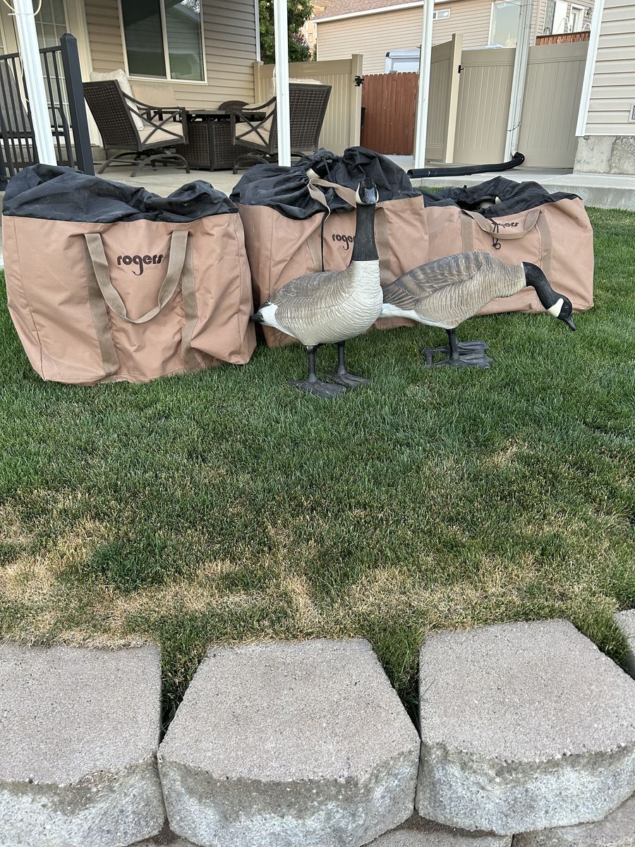 Bigfoot Full Body Goose Decoys (18) with Carry Bag