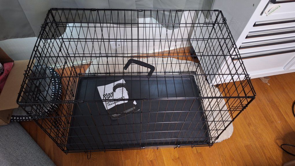 play on dog kennel
