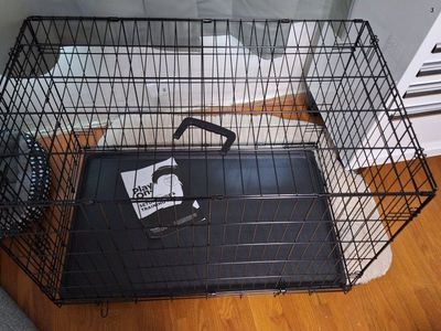 play on dog kennel