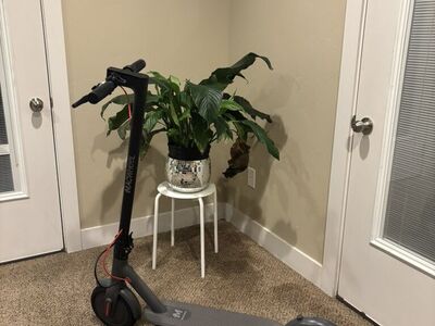 Macwheel Adult Electric Scooter