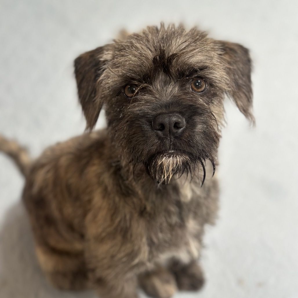 Hello my name is Tilly
