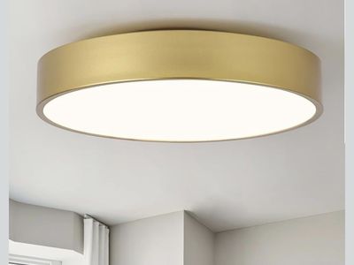 Politam dimmable 16-inch flush mount ceiling light