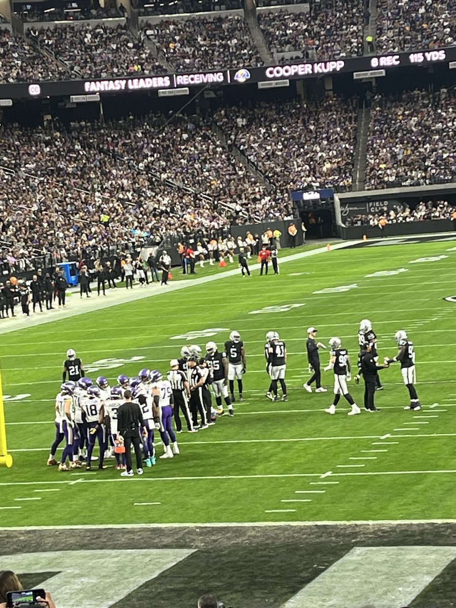 Las Vegas Raiders- my lower bowl season tickets