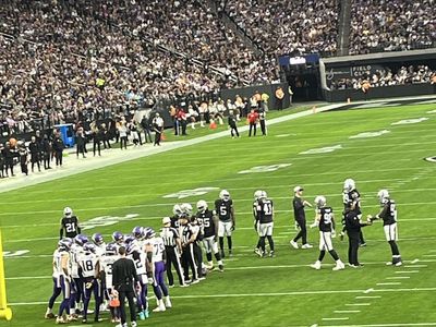 Las Vegas Raiders- my lower bowl season tickets