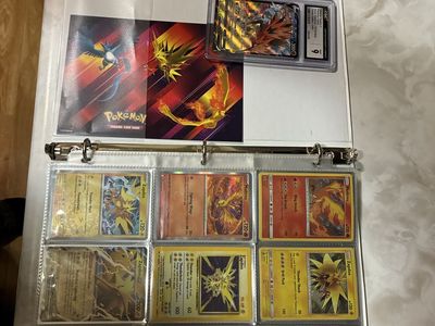 Pokemon Legendary Bird Collection