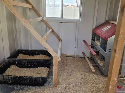 Large chicken coop