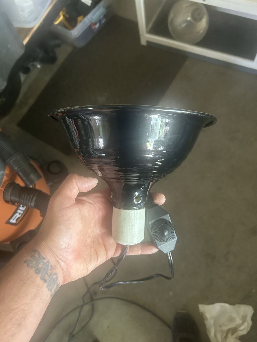 Reptile lamp