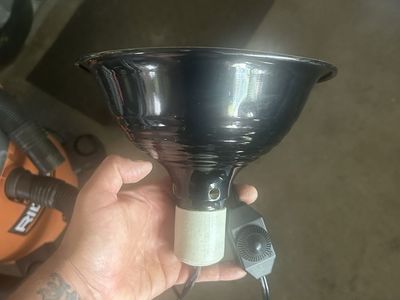 Reptile lamp