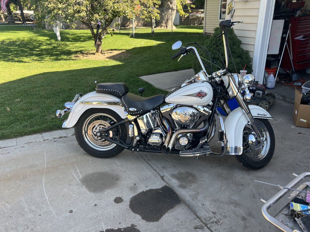 harley davidson for sale or trade