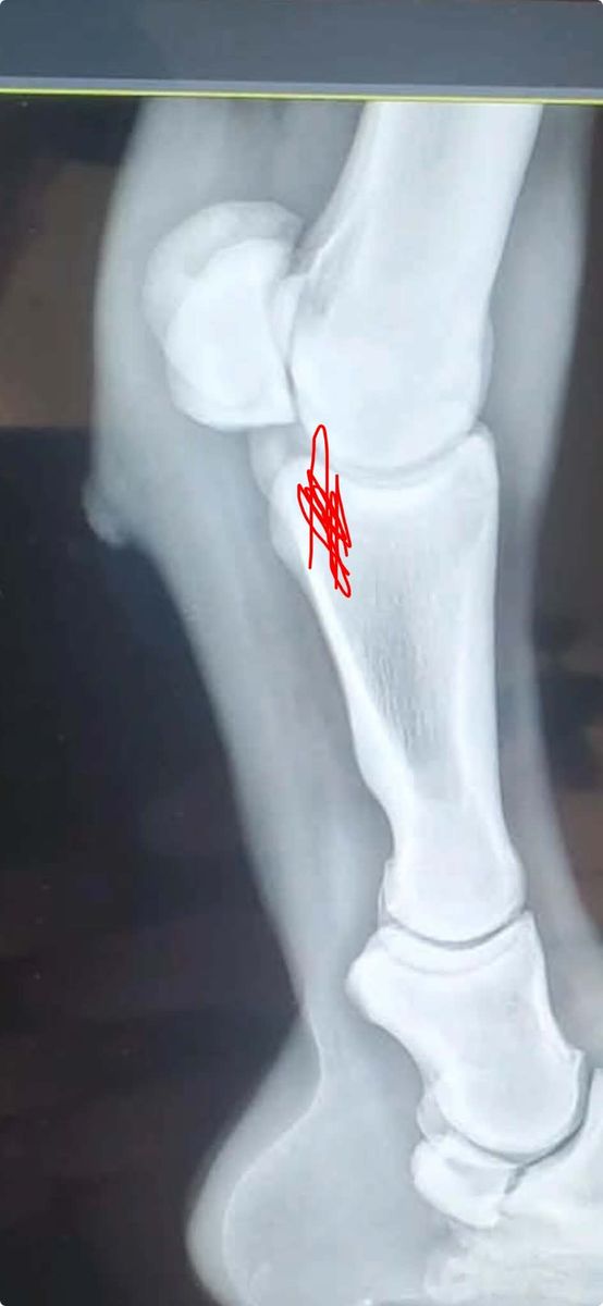 Main image 23