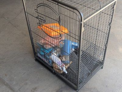 Pet Cage