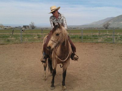 Buckskin Mare - AQHA - 14hh