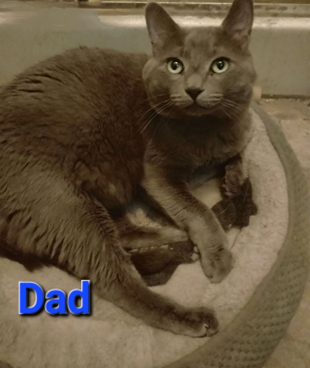 Main image 5