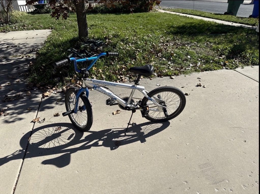 ORIGINAL SCHWINN TJ LAVIN BMX BIKE