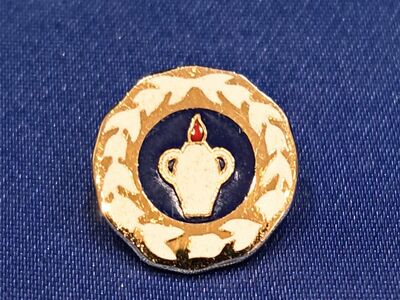 Vintage 10K Yellow Gold Gideons International Pin