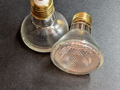 Great Value | PAR20 LED Bulbs | 7W (50W Equiv)