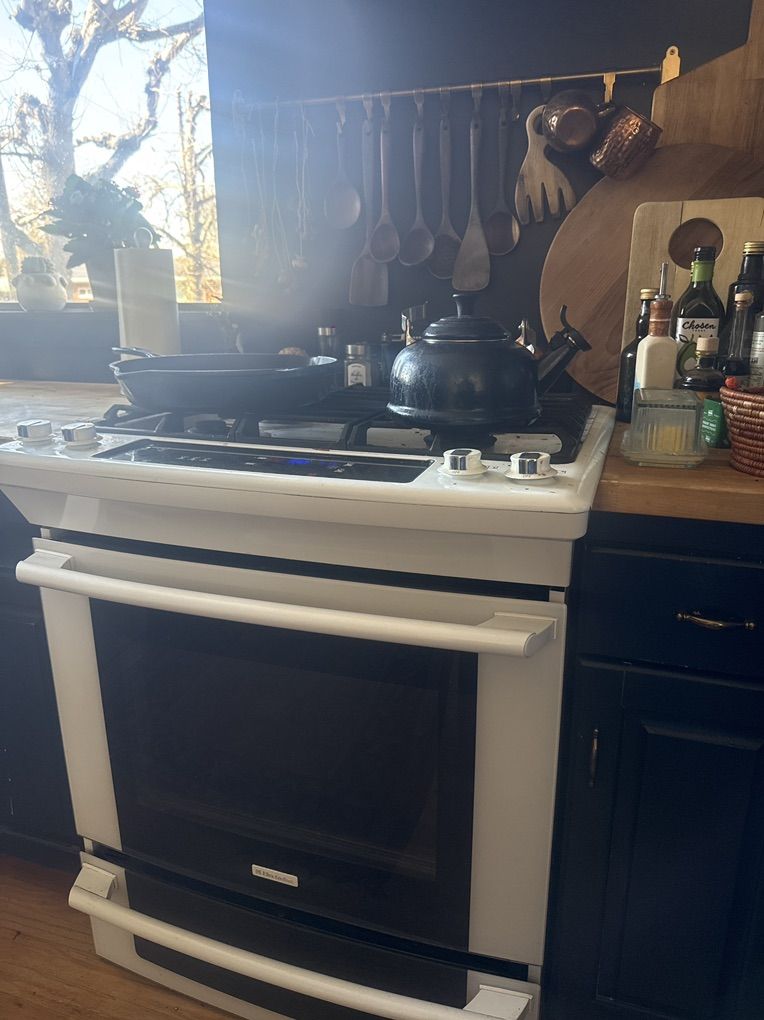 Electrolux Gas Range