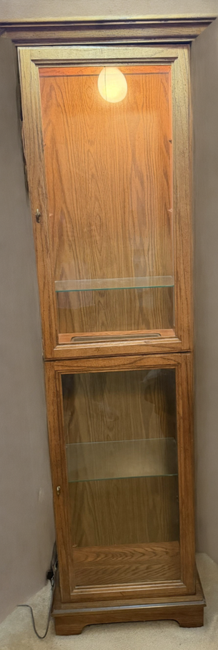 Curio cabinet with light