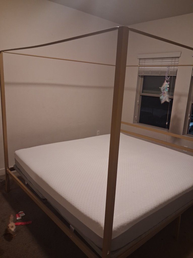 king size bed frame with mattress 3months use no pets no stains been with mattress cover
