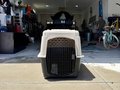 Brand new Pet Carrier - Durable Plastic Dog/Cat Crate, Tan & Black, Excellent Condition